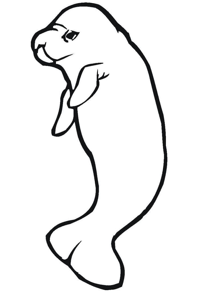 Desenho de Peixe Boi para Crianças de 3 Anos para Colorir