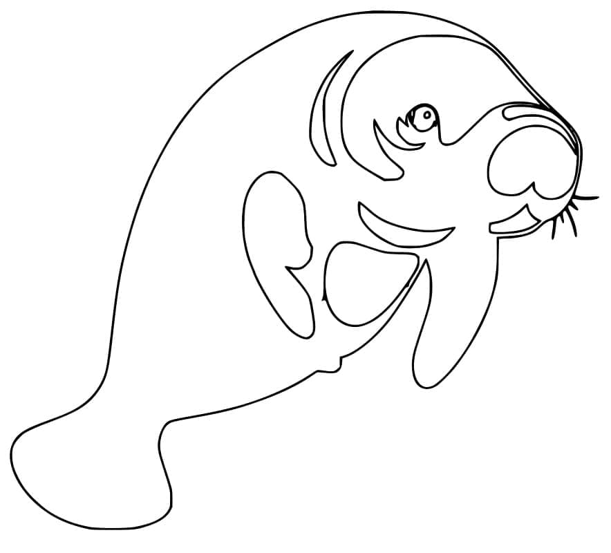 Desenho de Peixe Boi Simples para Colorir