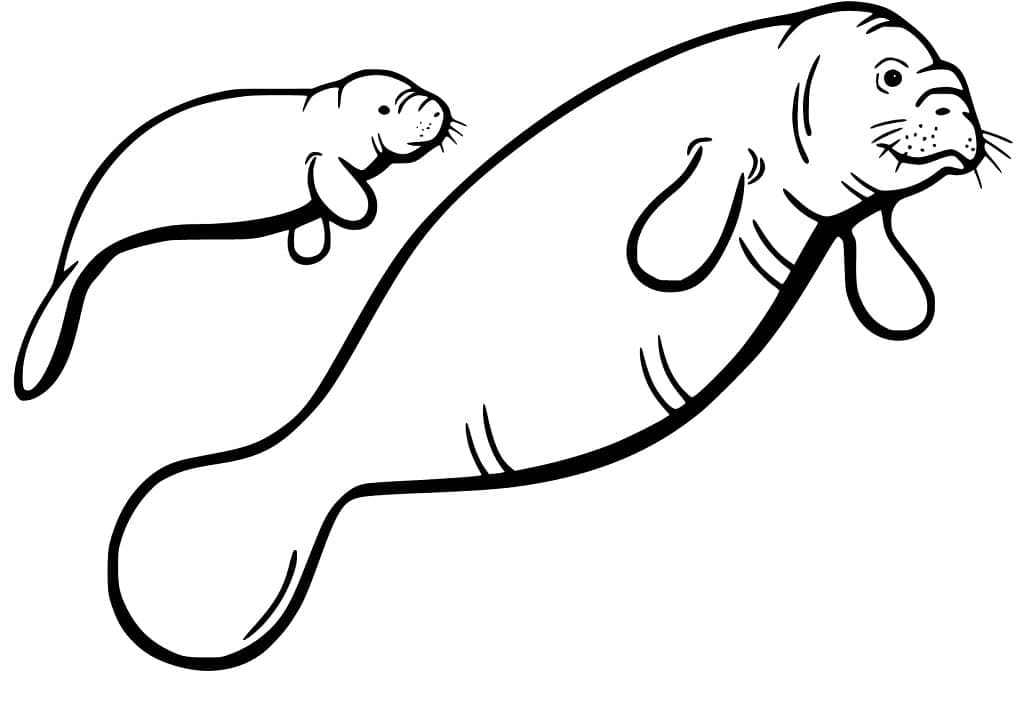 Desenho de Peixes Boi para Colorir