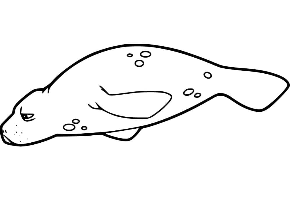 Desenho de Pintura de Peixe Boi para Colorir