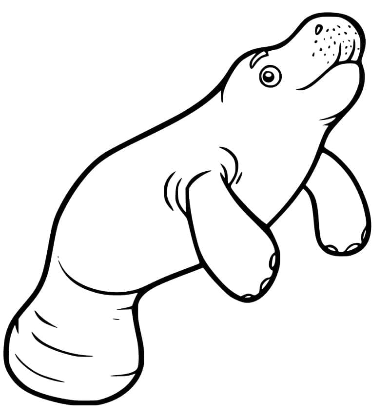 Desenho de um Peixe Boi Sorridente para Colorir
