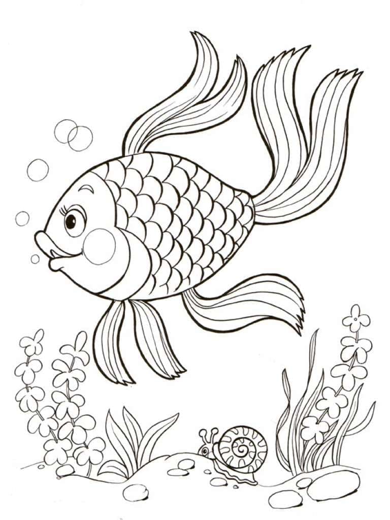 Desenho de Peixe Dourado Nadando para Colorir
