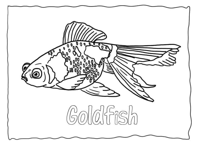 Desenho de Peixinho Dourado Grátis para Crianças para Colorir