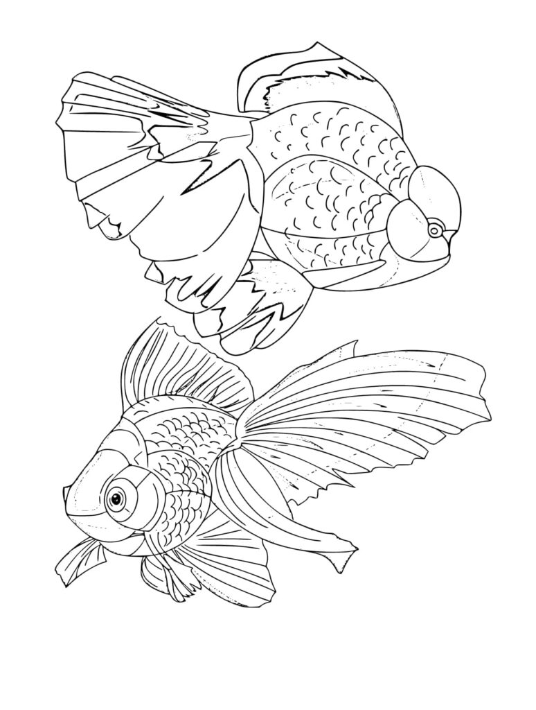 Desenho de Peixinhos Dourados para Colorir