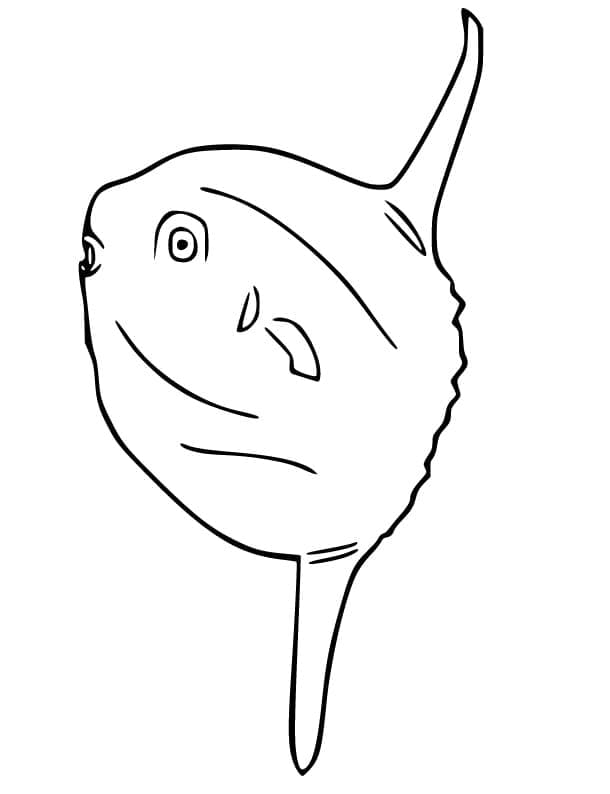Desenho de Imagem de Peixe Lua para Colorir