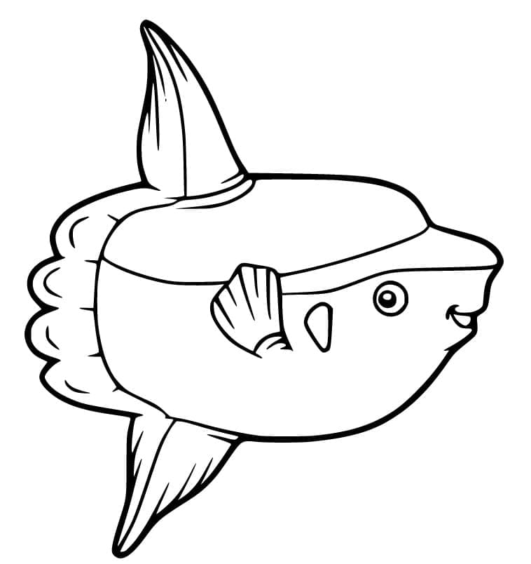 Desenho de Peixe Lua Fofo para Colorir