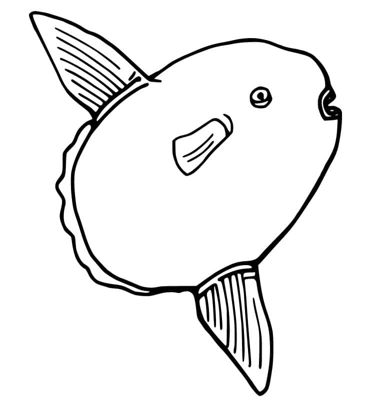 Desenho de Peixe Lua Nadando para Colorir
