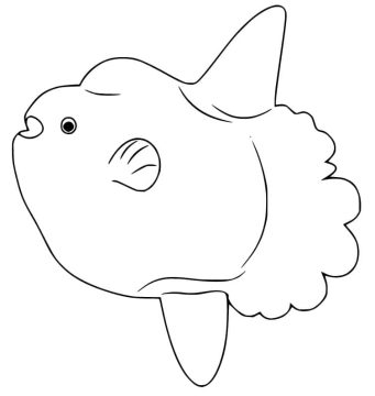 Desenho de Peixe Lua Simples para Colorir