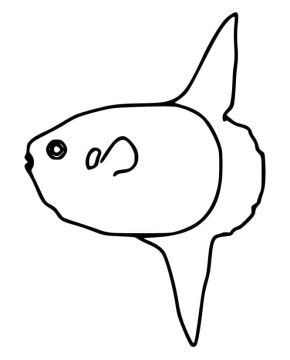 Desenho de Um Peixe Lua fácil para Colorir
