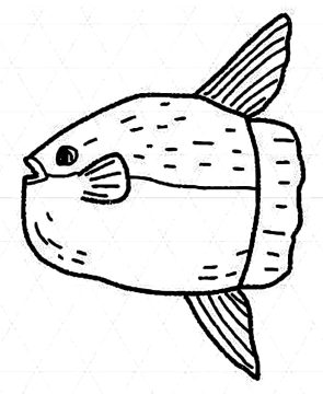 Desenho de Um Peixe Lua para Colorir