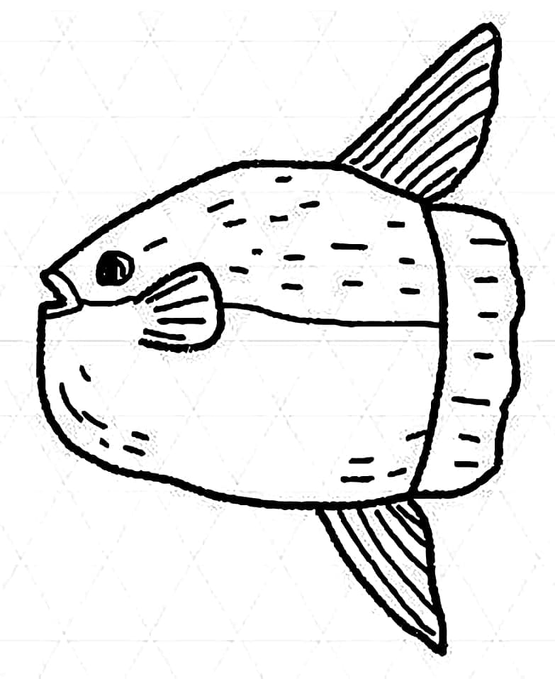 Desenho de um Peixe Lua para Colorir