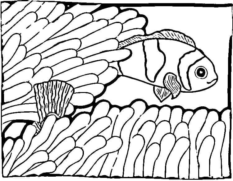 Desenho de Peixe Palhaço Nadando para Colorir