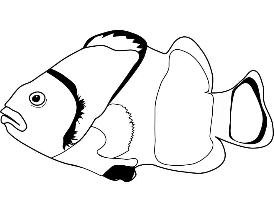 Desenho de Peixe Palhaço Normal para Colorir
