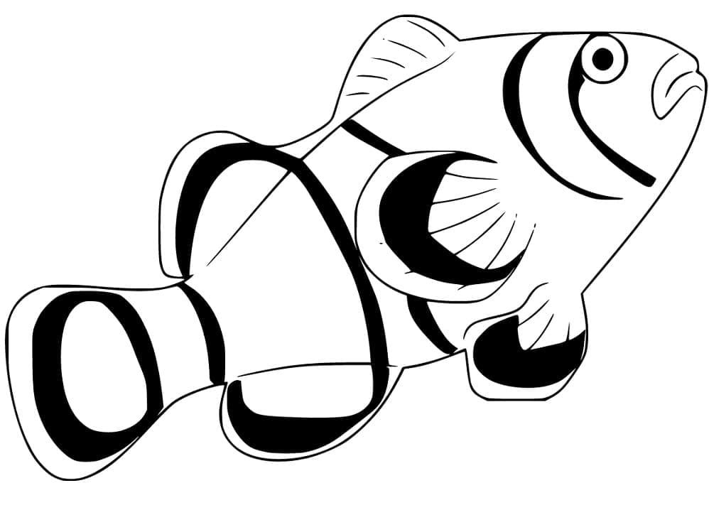Desenho de Peixe Palhaço para Crianças para Colorir