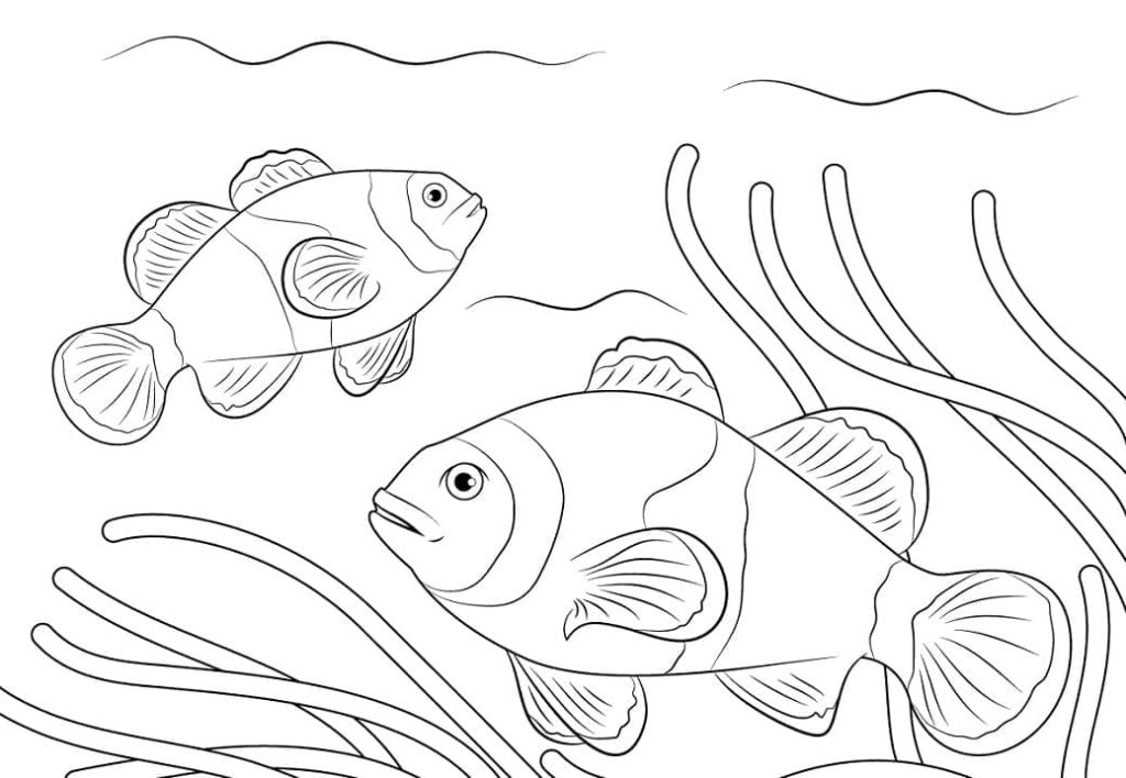 Desenho de Peixes Palhaço Nadando para Colorir