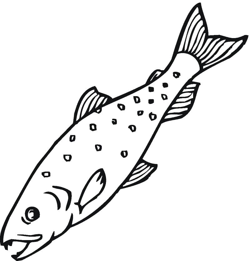 Baixar Desenho de Salmão para Colorir Gratuitamente