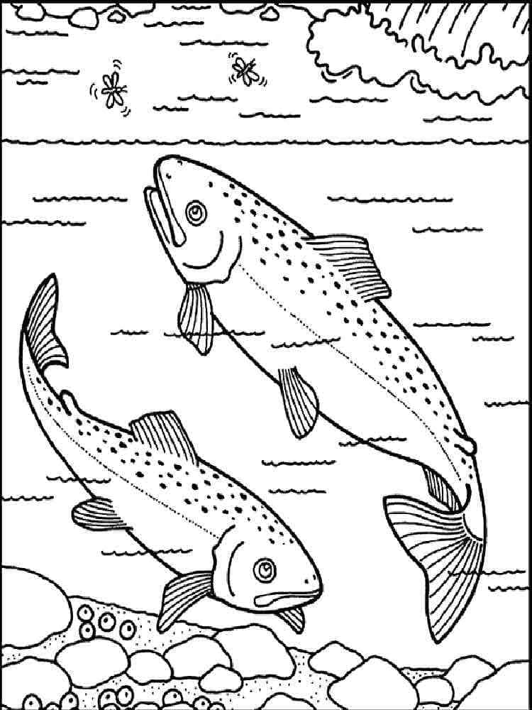 Desenho de Dois Salmões para Colorir