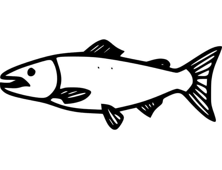 Desenho de Imagem de Salmão para Colorir