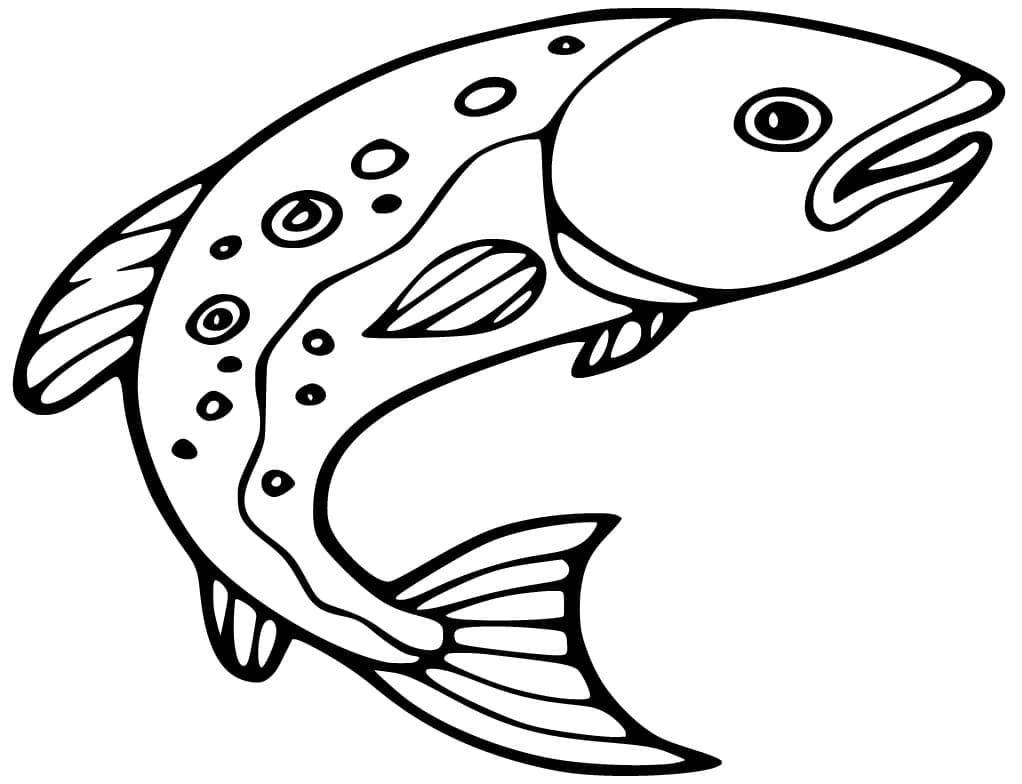 Desenho de Peixe Salmão Grátis para Colorir