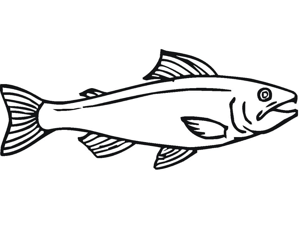 Desenho de Peixe Salmão