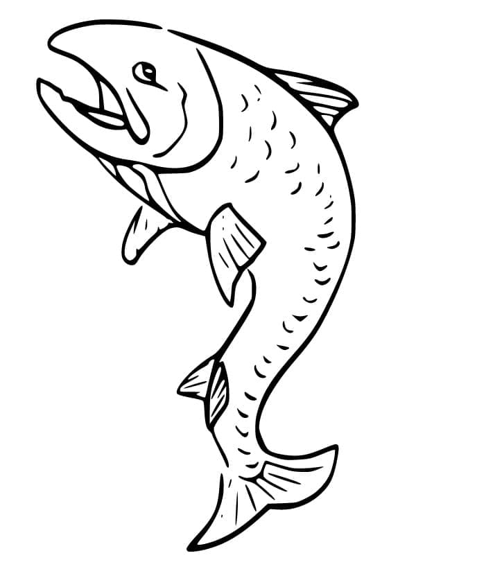 Desenho de Salmão Engraçado para Colorir