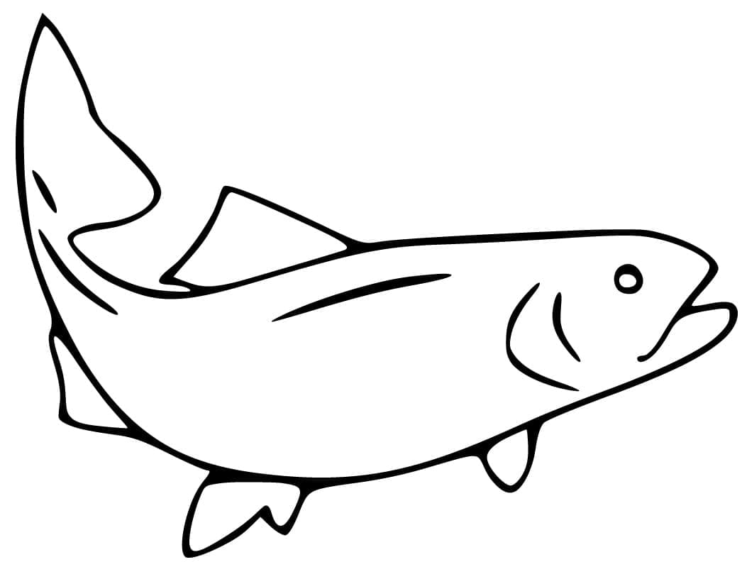 Desenho de Salmão Fácil para Colorir