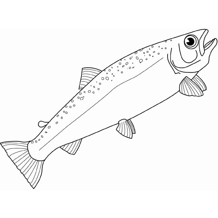 Desenho de Salmão Grátis para Crianças para Colorir