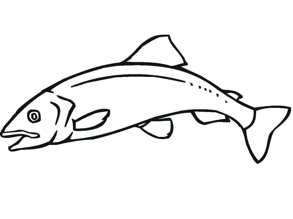 Desenho de Salmão para Colorir com Canetinha