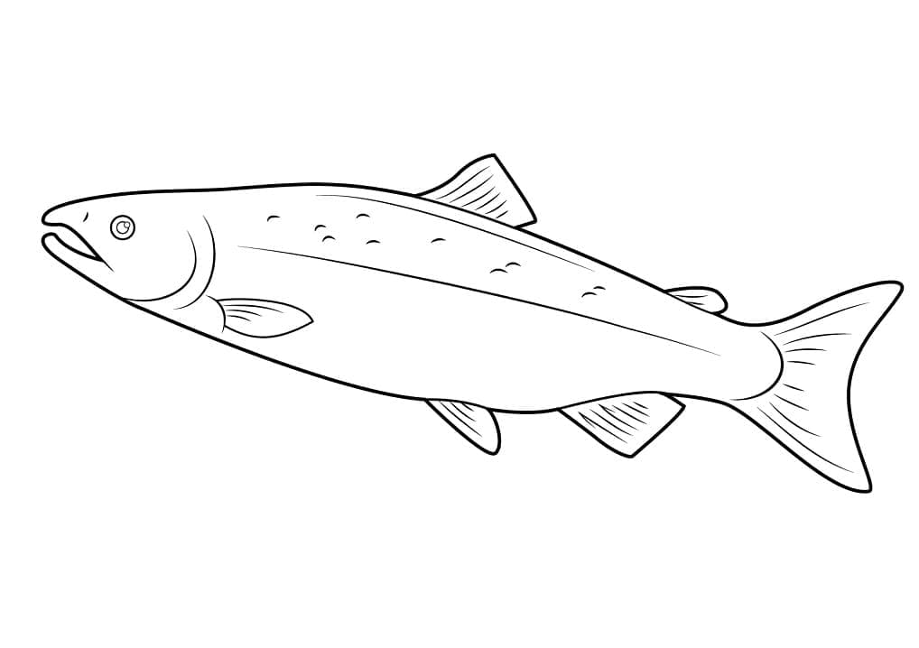 Desenho de Salmão para Crianças para Colorir