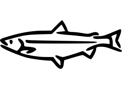 Desenho de salmão Simples para Colorir