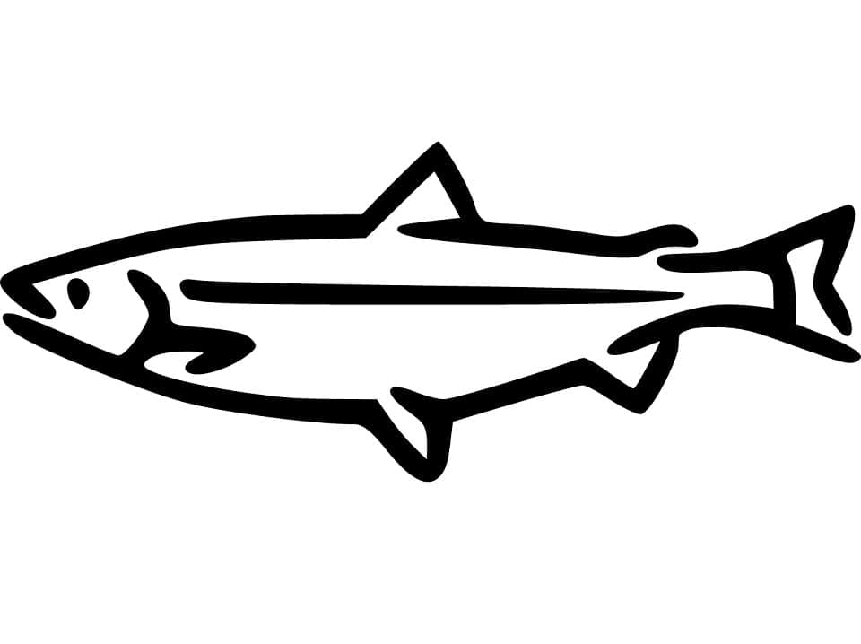 Desenho de Salmão Simples para Colorir