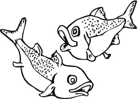 Desenho de salmões Engracados para Colorir