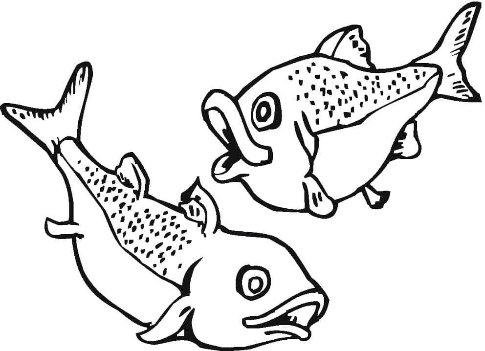 Desenho de Salmões Engracados para Colorir