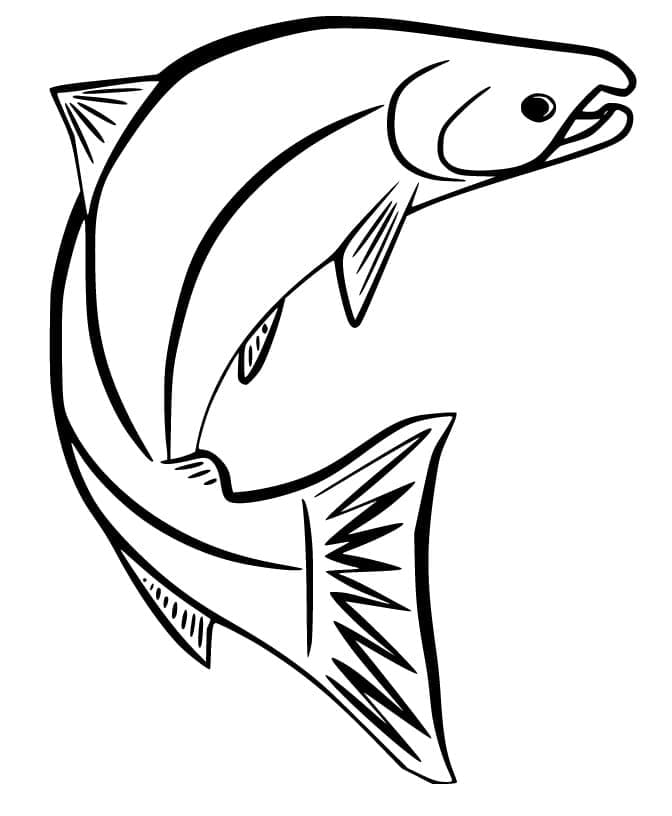 Desenho Imprimivel de Peixe Salmão para Colorir
