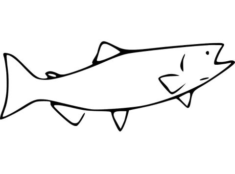 Desenho Simples de Peixe salmão para Colorir com Giz de Cera