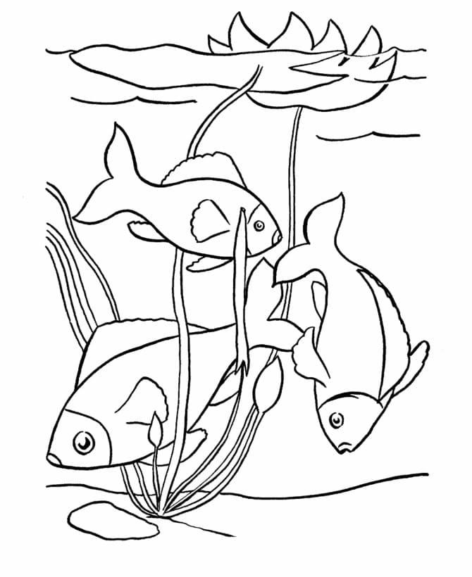 Desenho de Imagem de Peixes para Colorir
