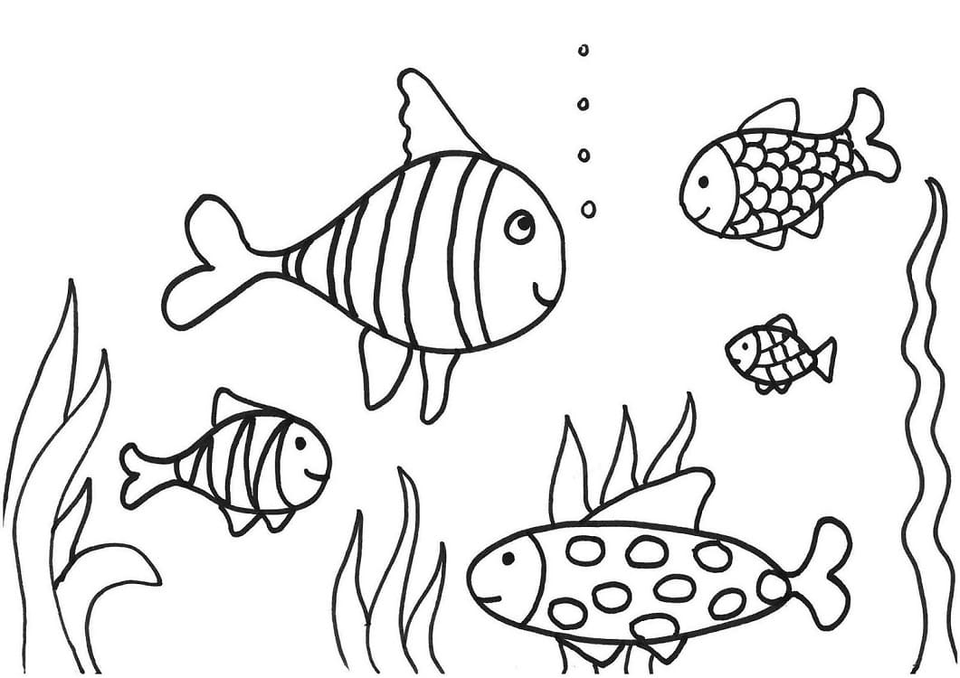 Desenho de Peixes Oceânicos para Colorir