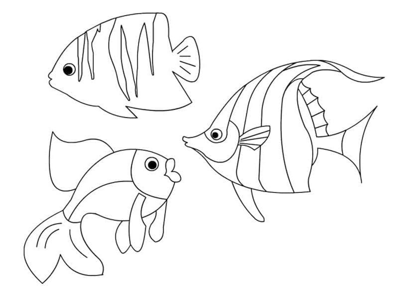 Desenho de Peixes Simples para Colorir