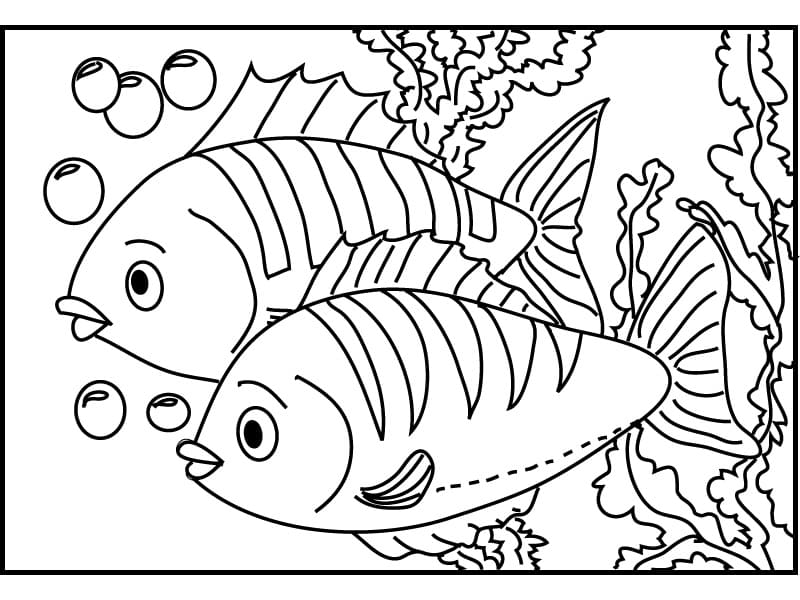 Desenho de Peixes para Colorir
