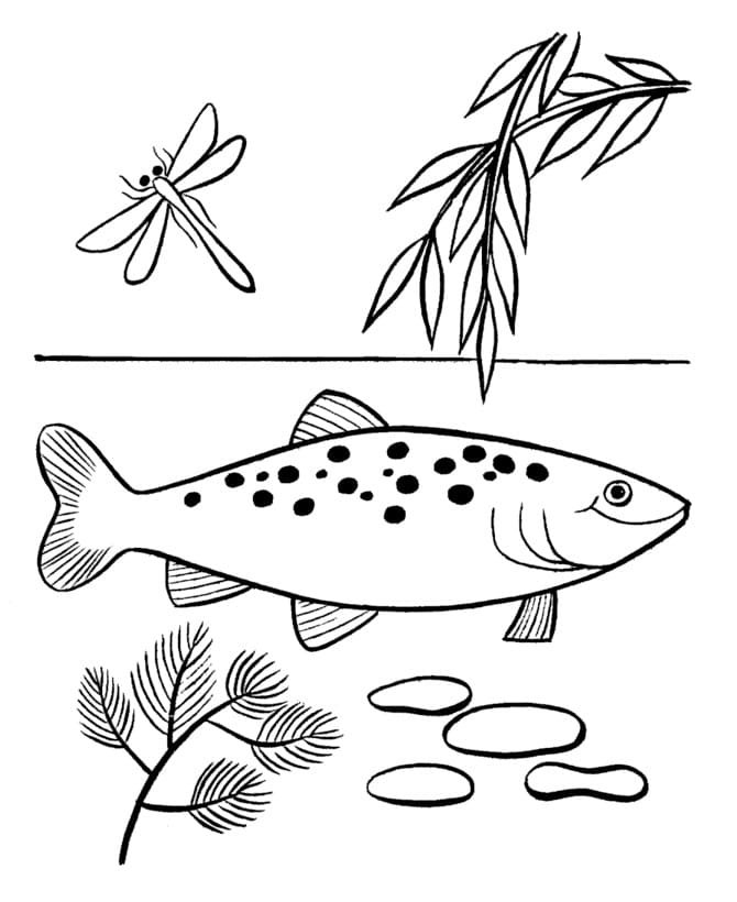 Desenho de um Peixe Nadador para Colorir