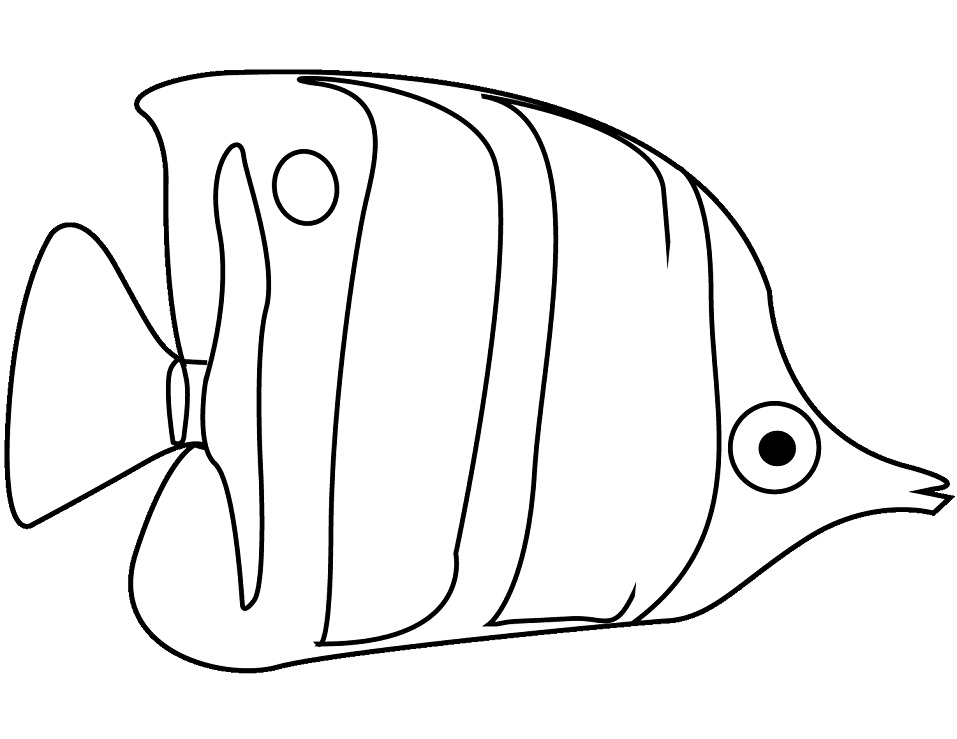 Desenho de Peixe Acara para Colorir