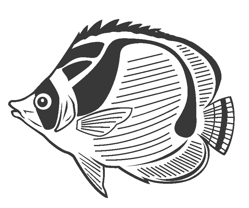 Desenho de Peixe Borboleta para Colorir