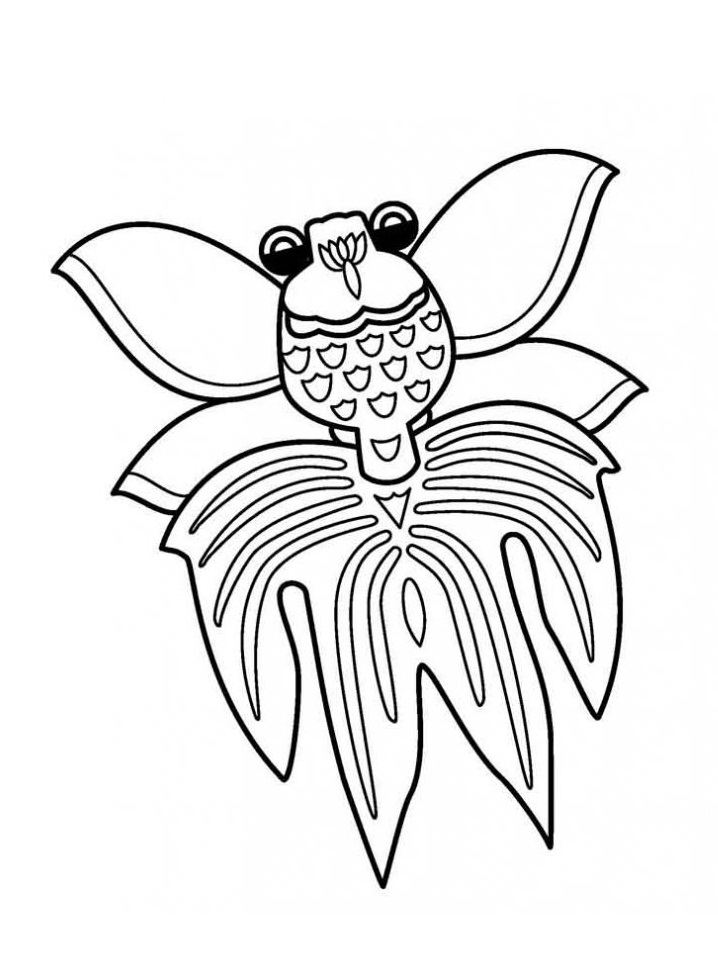 Desenho de Peixe de Água Doce para Colorir