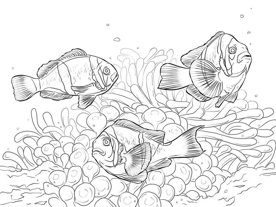 Desenho de Peixe de Água Salgada para Colorir