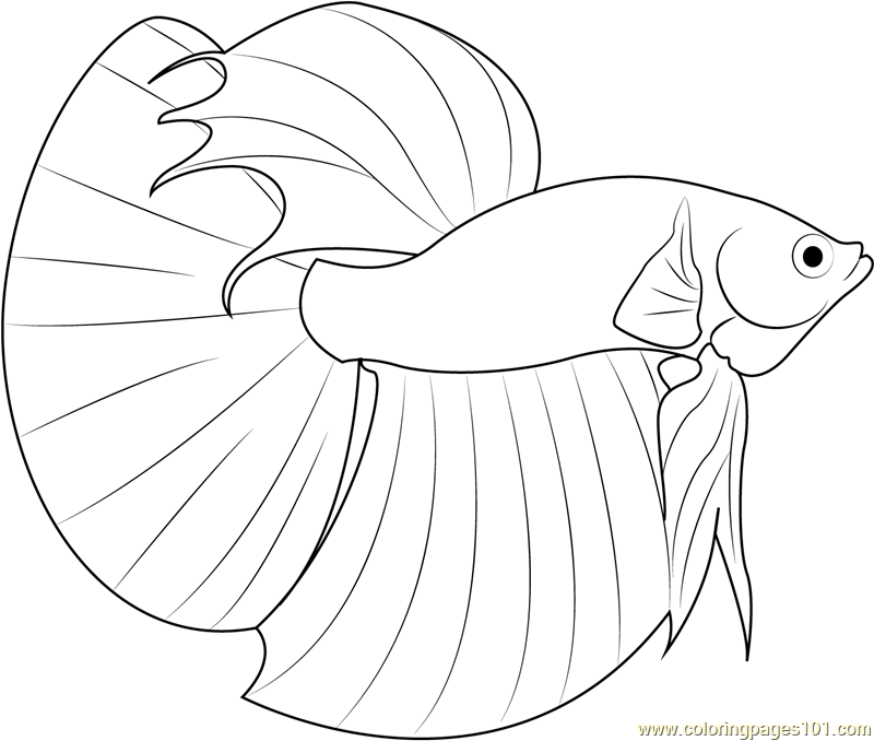 Desenho de Peixe Download Pdf para Colorir