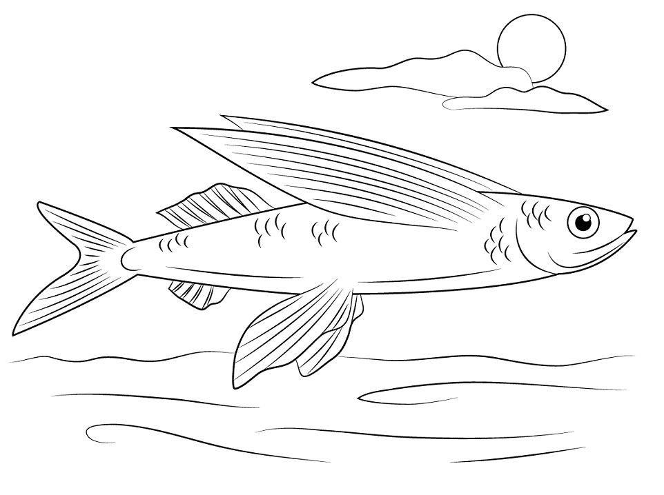 Desenho de Peixe Voador para Colorir