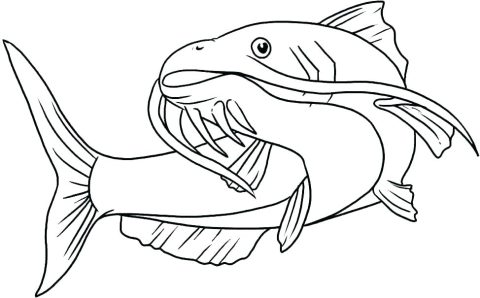 Desenho para Baixar de Peixe fácil de Desenhar