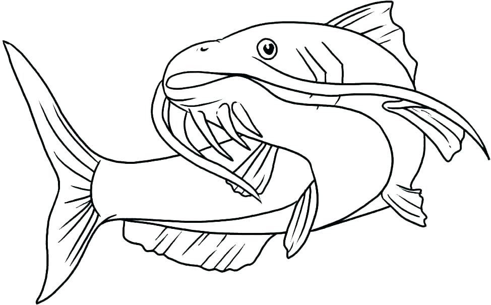 Desenho para Baixar de Peixe Fácil de Desenhar