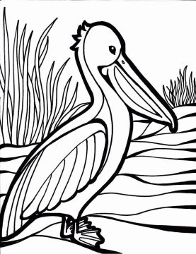 Desenho de Pelicano para Colorir Download