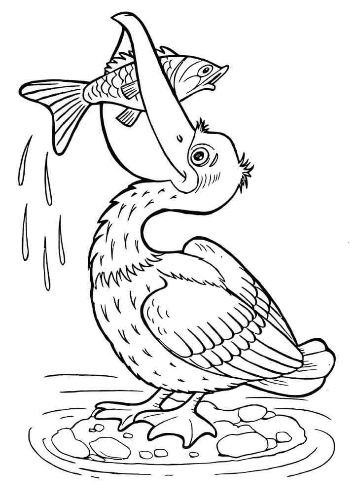 Desenho de Pelicano para Colorir Imprimivel